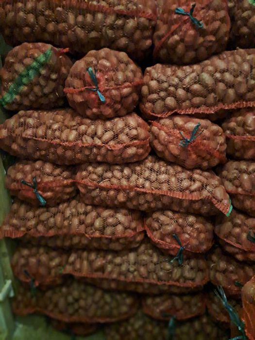 Cartofi consum Red Lady