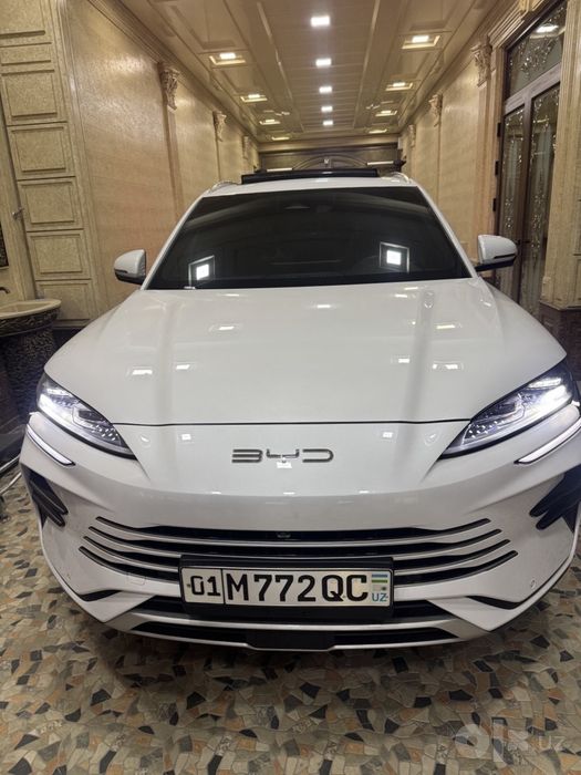 Byd Champion gibrid 150Km