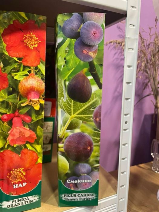 Градински растения - рози, нар, индийски люляк , смокиня …