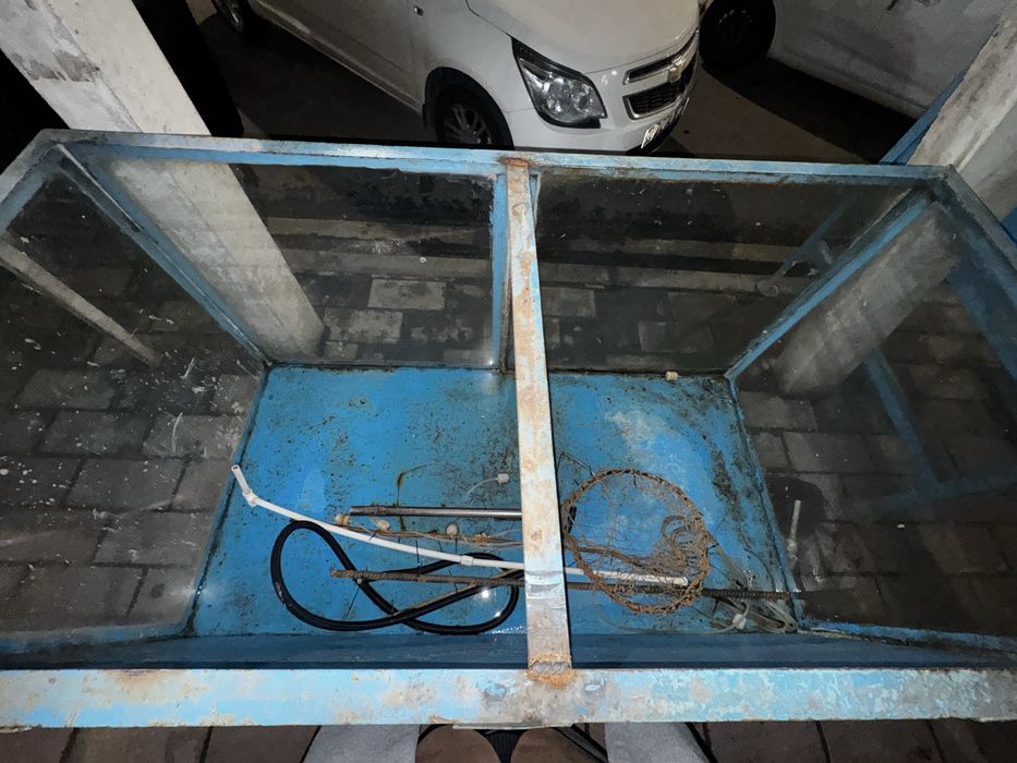 Akvarium baliqlar uchun