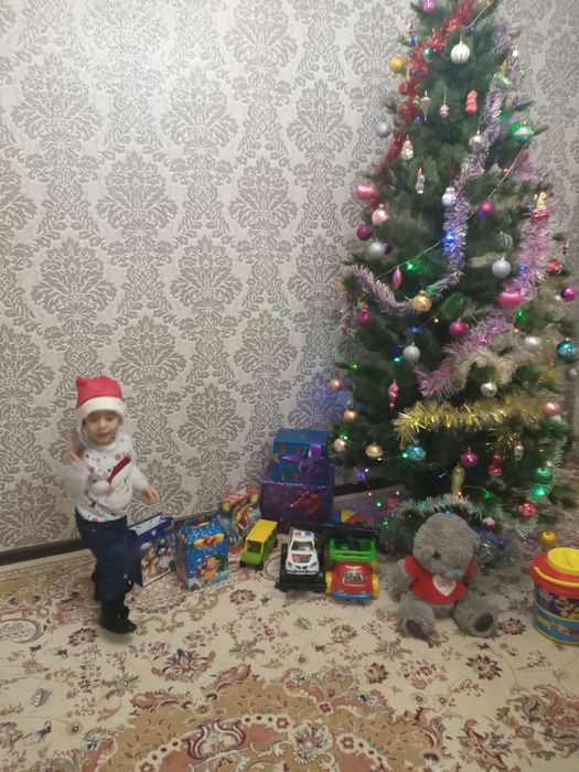 Ёлка  Российская