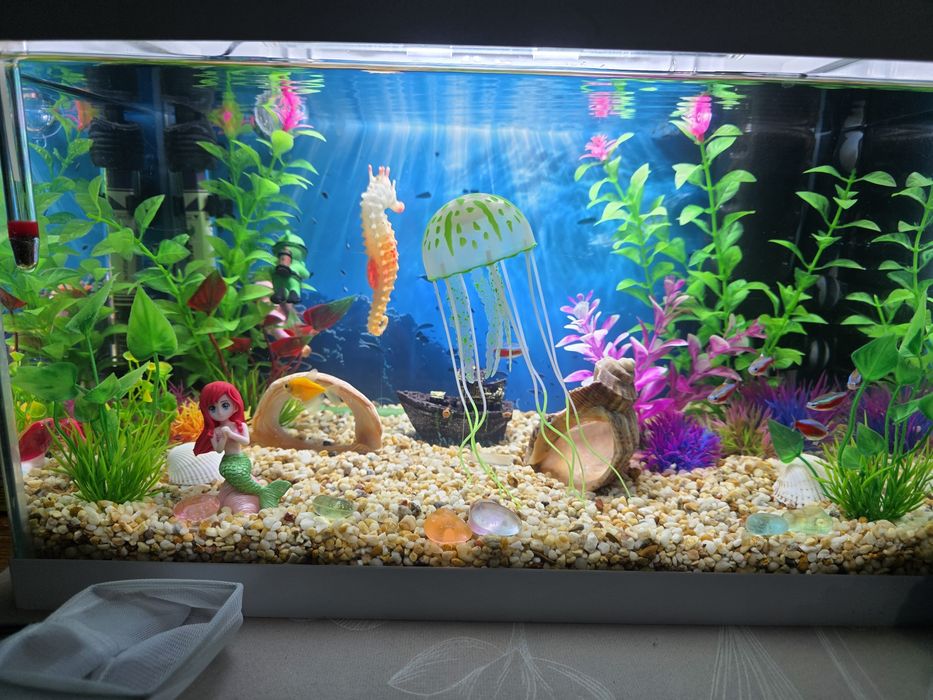 Аквариум Aquael 25л. с Led лампа