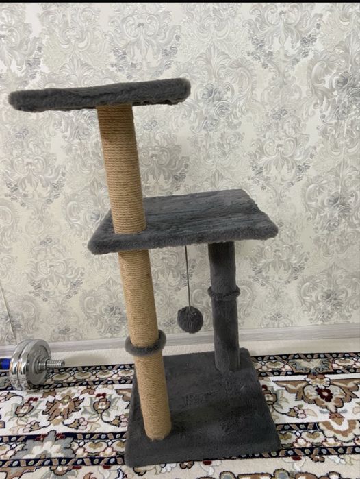 Когтиточка в отличном состоянии