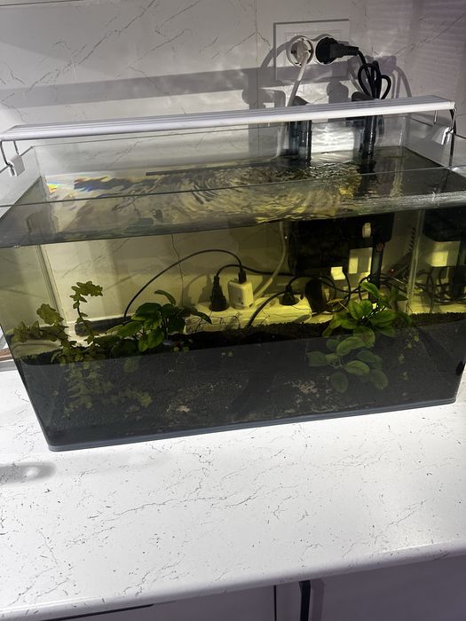 Akvarium sotiladi 60 litr hamma narsasi bilan