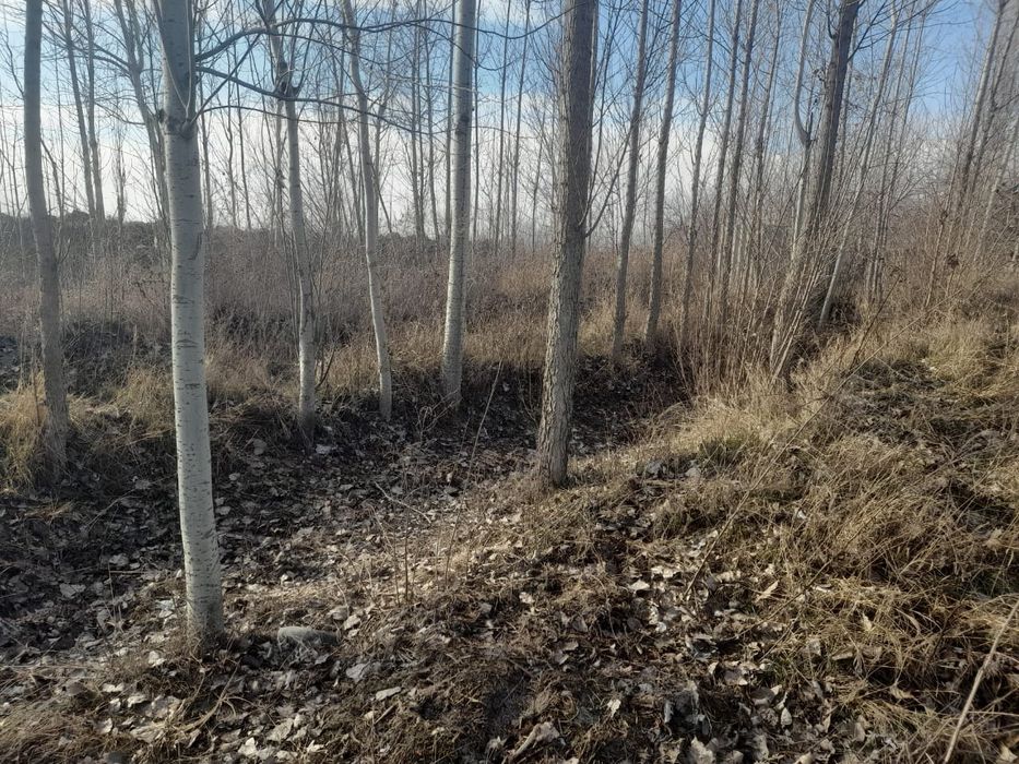 Er uchastkasi sotiladi