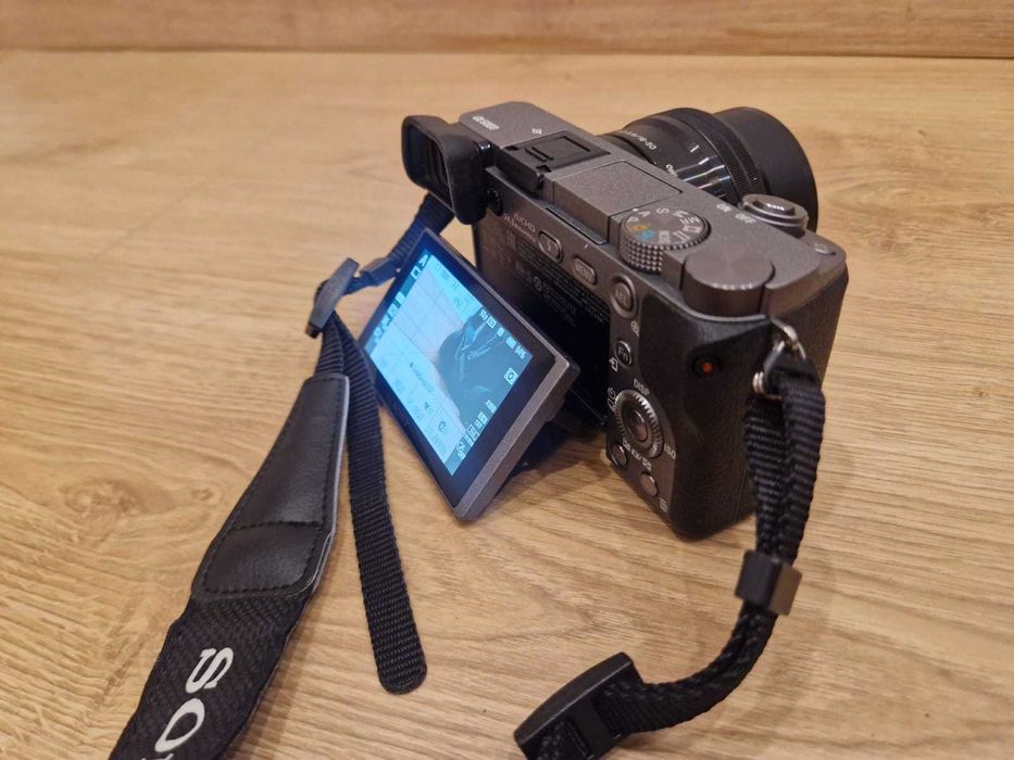 Sony a6000 + Sony 50mm f1.8  (8149)