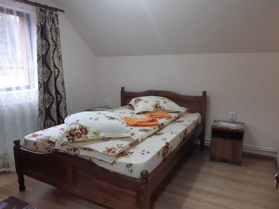 Cabana Ioana Anastasia Arieseni