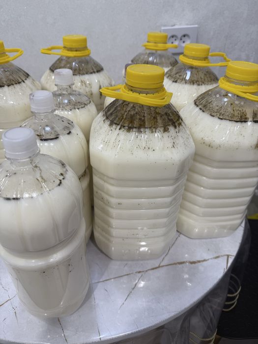 Продам кымыз Баянауыльский