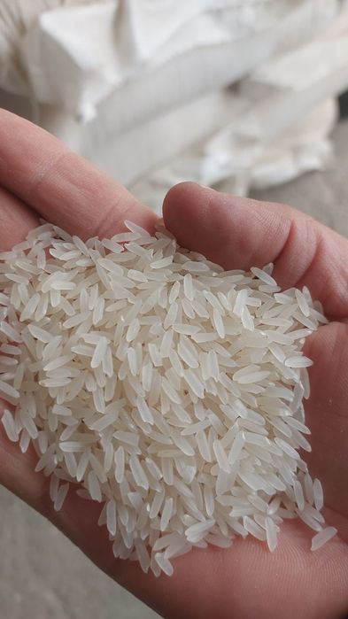 Хоразм гуруч база, оптом перечисления, Xorazm guruch optom