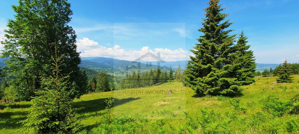 De vanzare teren situat in PANACI, sat COVERCA