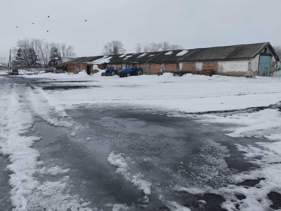 Продам территорию КХ