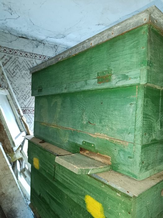 Vând stupi albine dulap 4 cm