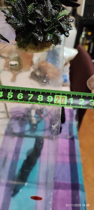 Аквариум 30л вече без водорасли и арка