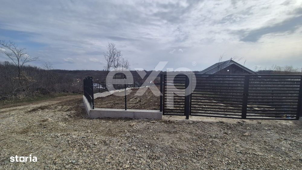 Teren 1.500 mp langa padure, Albota – liniste, natura si potential d