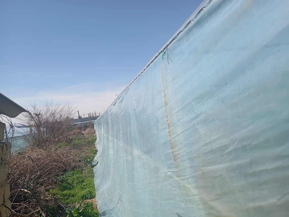 Теплицасатыладытььть