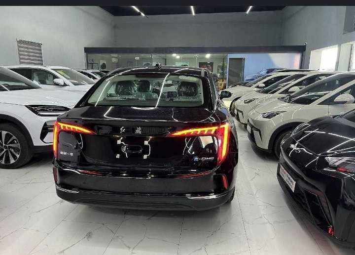 Hongqie E-QM5 560 km naxt va halol nasyaga