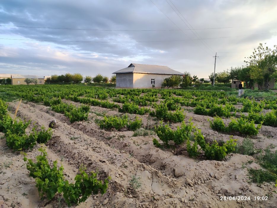 Uy joy sotiladi, 50 sotix