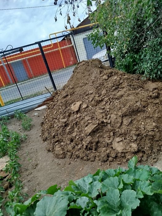 Отдам навоз. Чистый без мусора