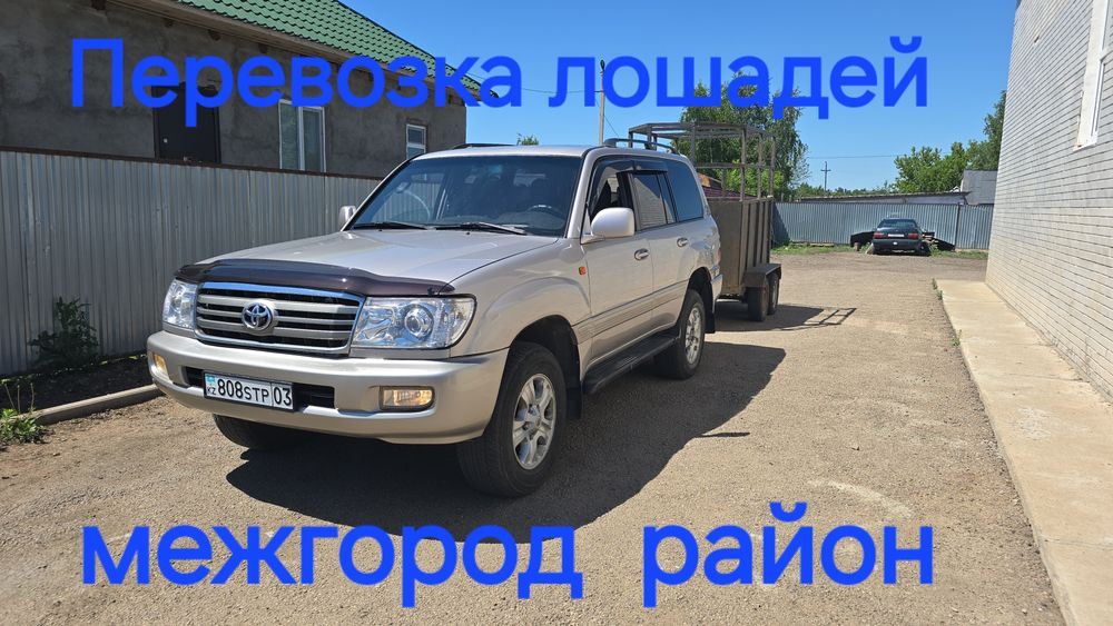 Перевозка лошадей, крс,мрс