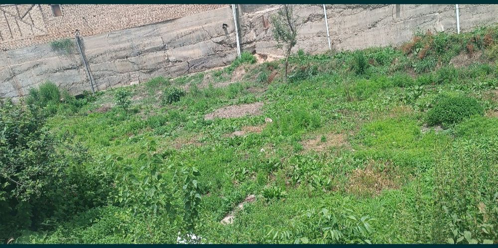 Продается срочно дом  с  участок...