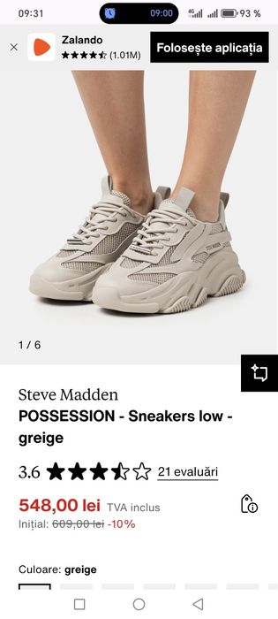 Sneakers Steve Madden