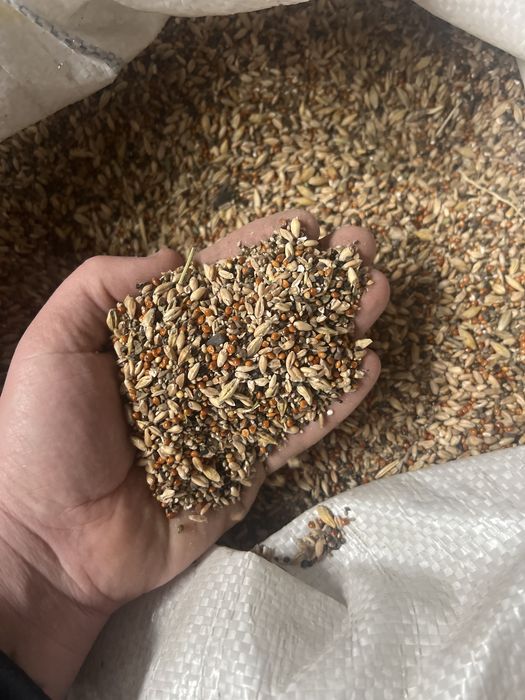 Продам корма для животных