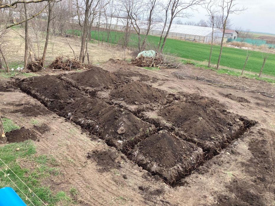 Prestari servicii excavare inchiriere miniexcavator 2.7t sapaturi