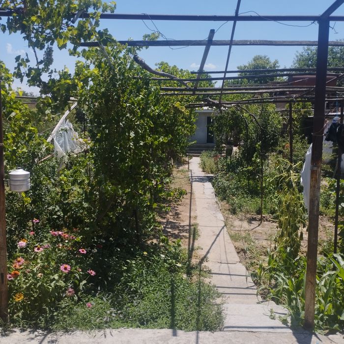 Hovli uy-joy sotiladi