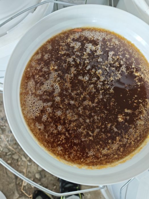 Vând miere de rapiță 12 kg