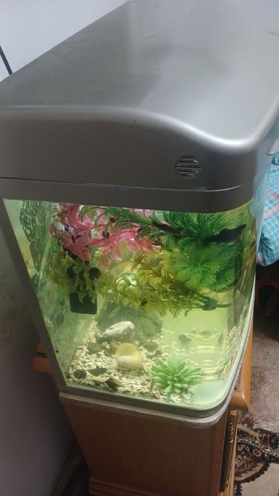 Заводская аквариум 60литр