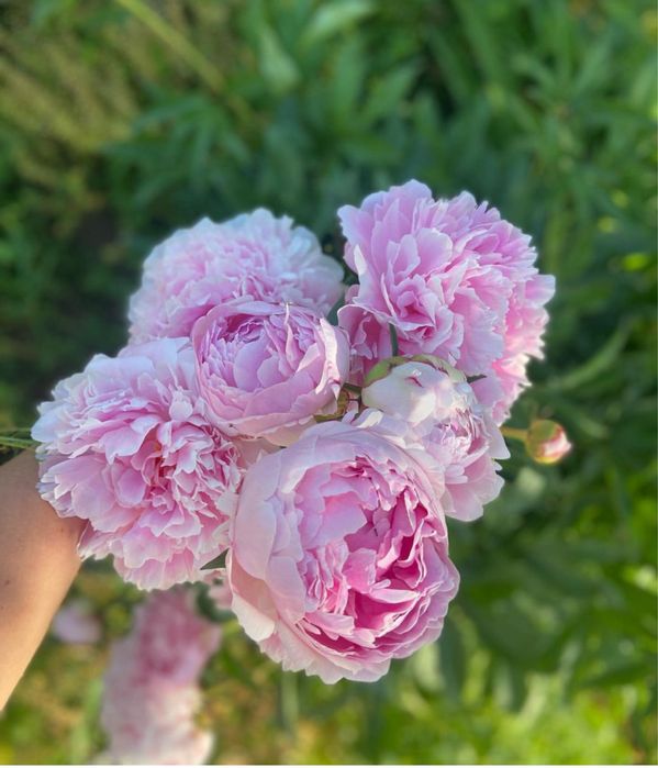 Дача в аренду Атырау