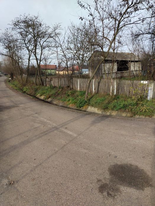 casa si padure de vanzare