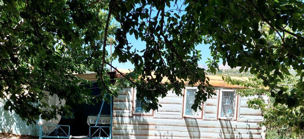 Yer sotilar 16 sotik 2 hona uyi bor