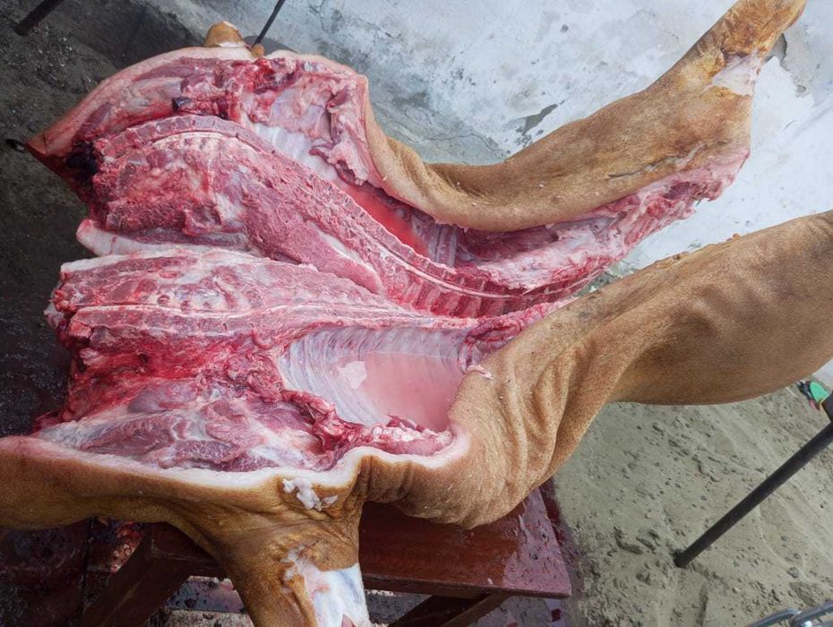 Свинина домашняя продам!