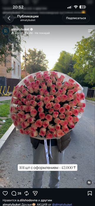 Розы цветы букет 101шт