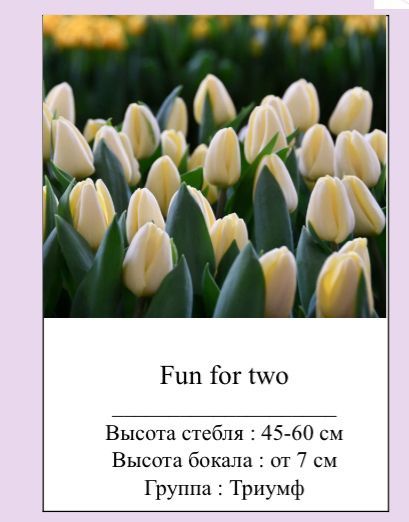 Самые красивые стройные Тюльпаны оптом к 8марта  .