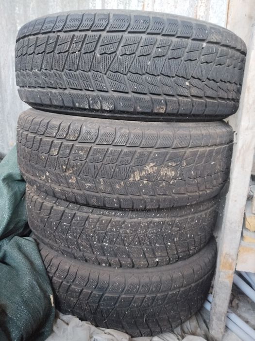 Шины зимние Rotation Boto