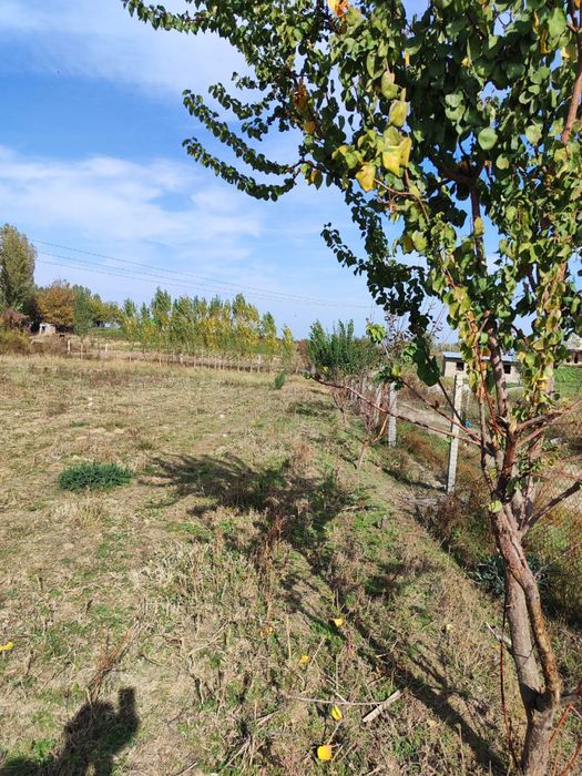 Yengi yol yer uchaska sotiladi