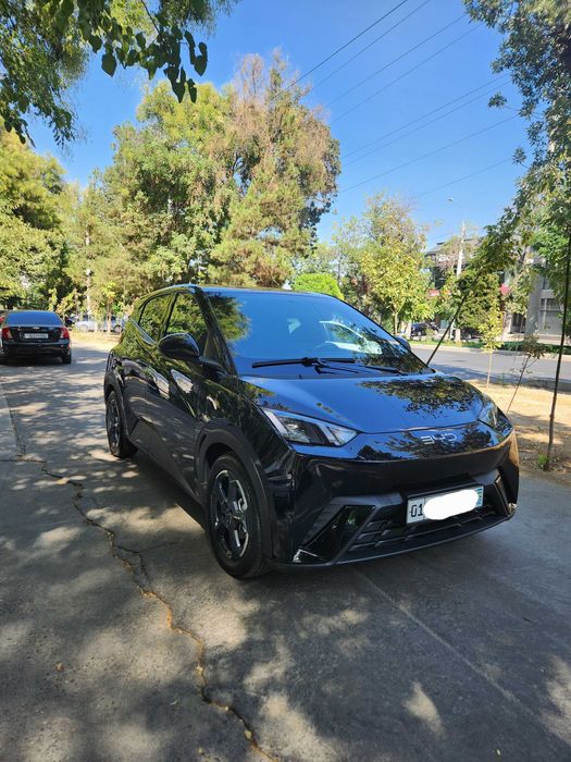 BYD Seagull EV 2024