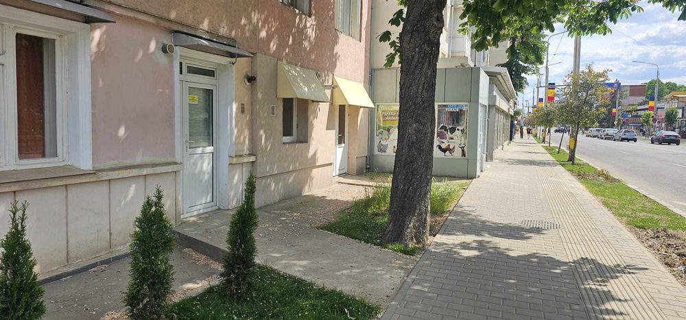 De vânzare, garsonieră,