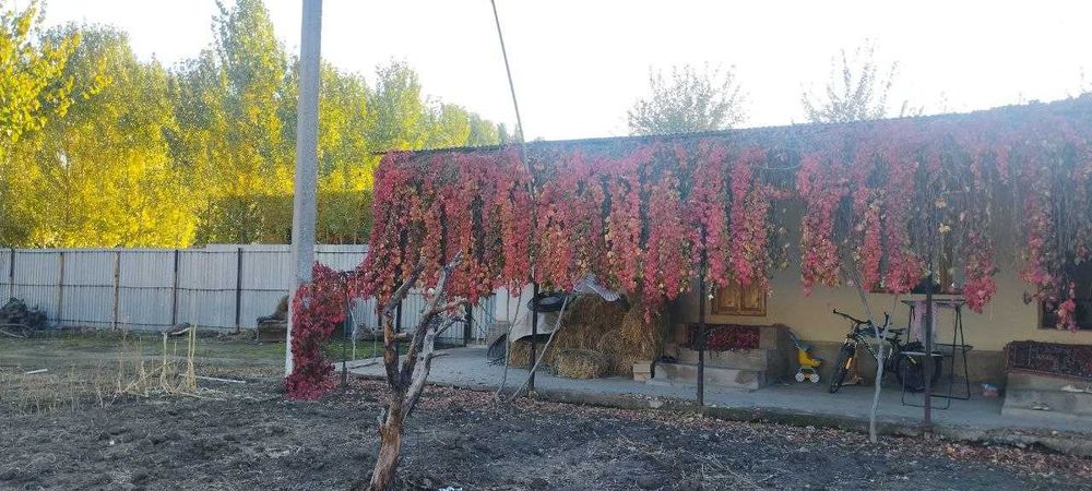 Продаётся дом участок.