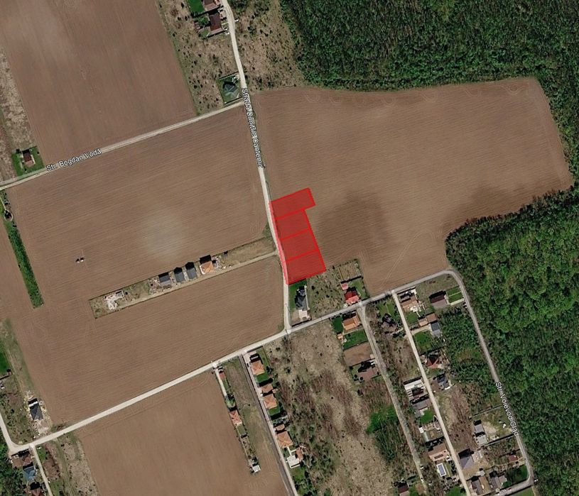 Snagov Ciofliceni Pădure