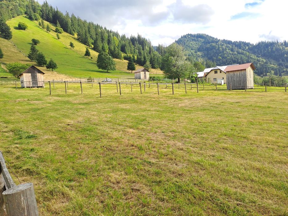 Teren intravilan Sunători