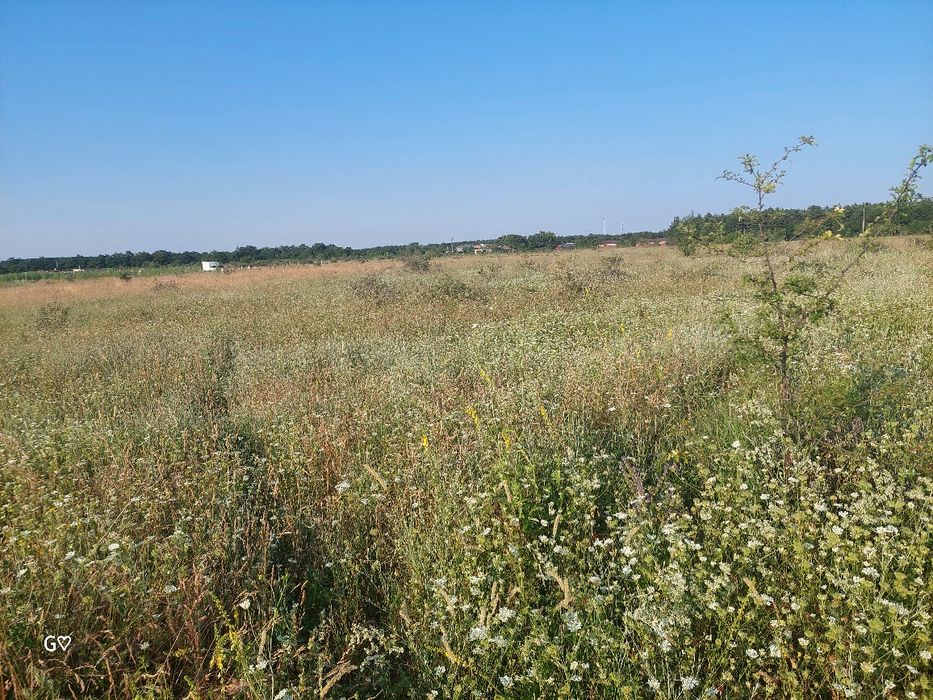 Парцел 10 декара с. Новаково
