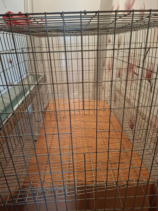 Cusca pui,gaini 90/65/50