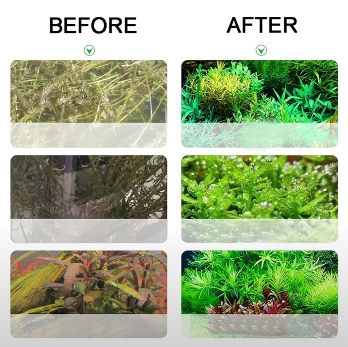 Система CO2 для аквариума