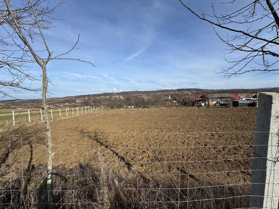 Vând teren intravilan în localitatea Copăcel, Bihor. 3082 mp