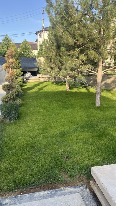 Газон и Автополив