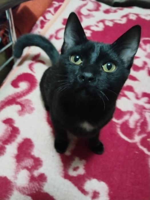 Мальчик 6 месяцев