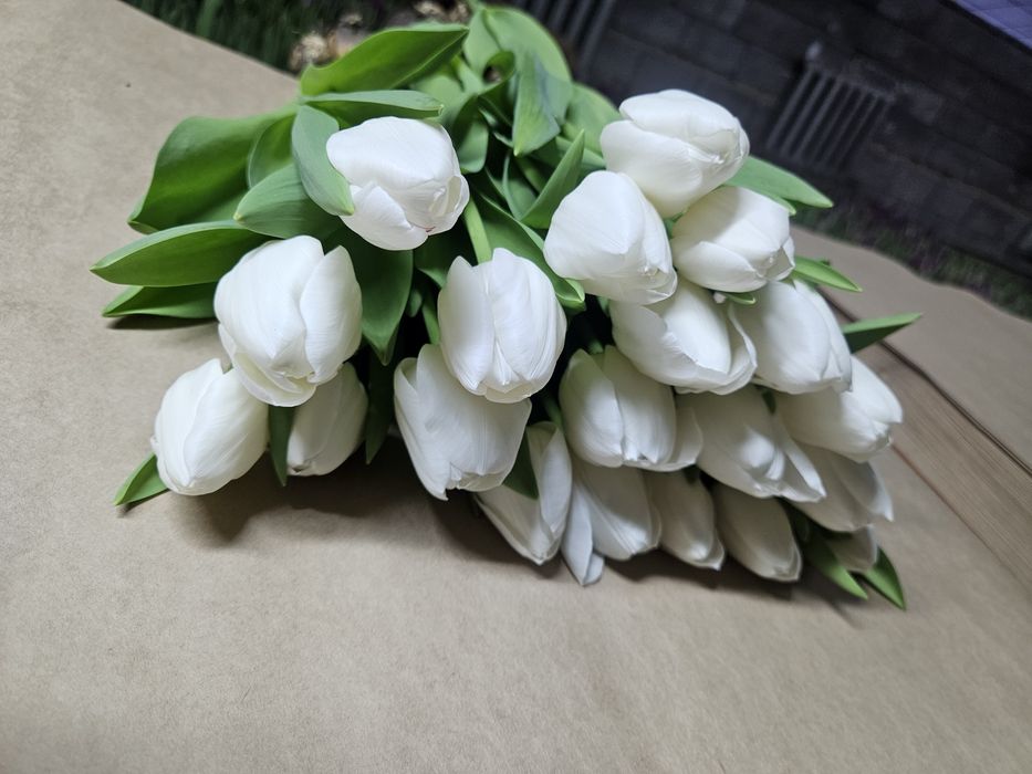 Цветы из собственной теплицы на 14 Февраля